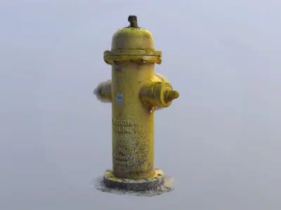 Fire Hydrant Photo Scanned Game Ready Model Low-poly 3D model