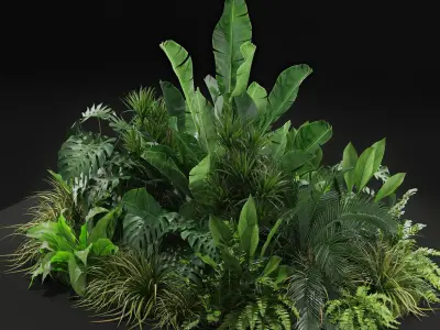  Plants collection 445 