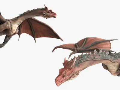  Fantasy Dragon Animated Rigged For Maya Collection 