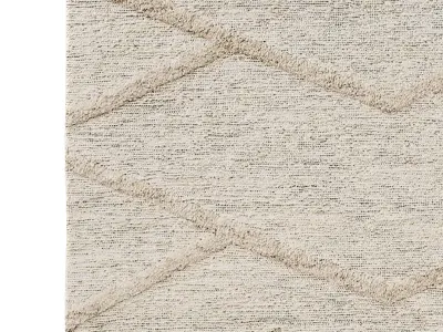 ARHAAN JUTE RUG 3D model