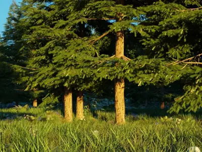 Spring Forest 3D model