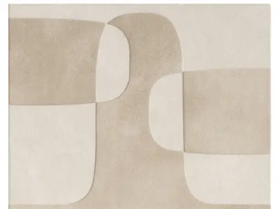 Bob and Weave Rug 3D model