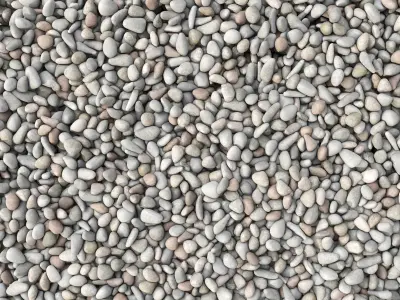 Pebble n33 3D model