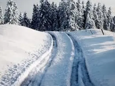 snow farm Scene  Low-poly 3D model