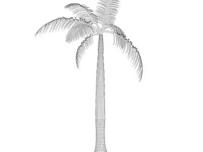 Royal Palm 3D model