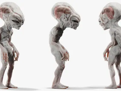 Gray Alien Blender Low-poly 3D model