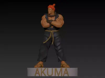 AKUMA street fighter character with hair 3D print model
