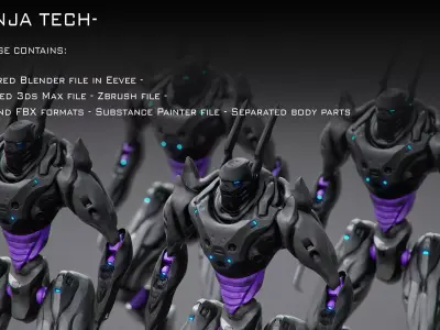 NINJA TECH Low-poly 3D model