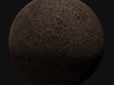 Pine Dirt Seamless Material Texture