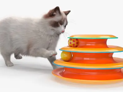  Circular Cat Toy Tower with Moving Balls Fur Animated Rigged 