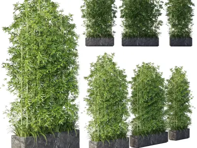  outdoor plant pot bamboo tree fern stone old vase bax 3D model