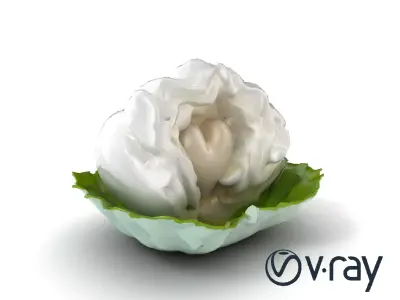 Fantasy Cloud Dimsum Sculpture model pack Low-poly 3D model