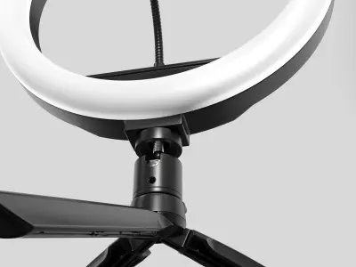 Ring Led Light 3D model