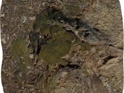 Forest Stump Rock Hill Low-poly 3D model