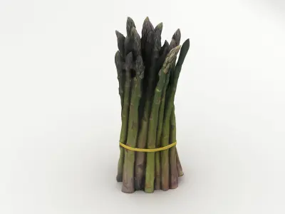 Green Asparagus Bundle 3D model