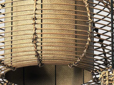 Lamp wicker branch rattan Dome 3D model