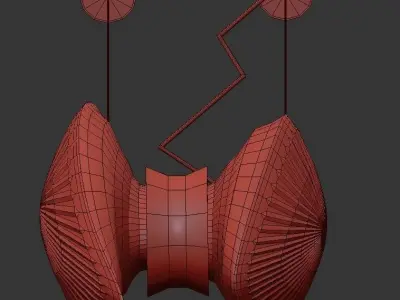 Lift Everyone 3D model