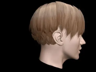 Haircut No 6 - Short Light Brown Hair for Woman 3D model