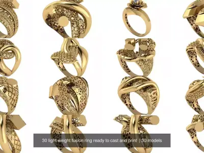 30 light weight fusion ring ready to cast and print  3D Model Pack