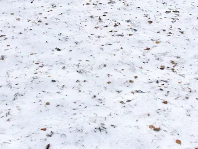 Snow with autumn leaves 3D model