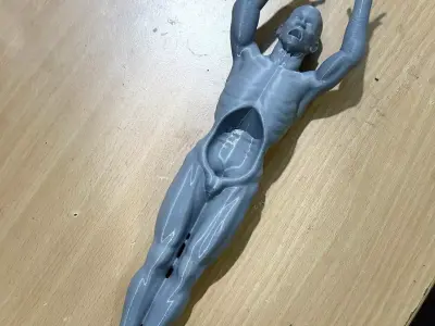 Flayed Trophy Victim for Predator Displays 3D print model