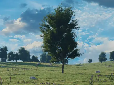 Ultimate 4K Nature Environment Asset Pack 3D model
