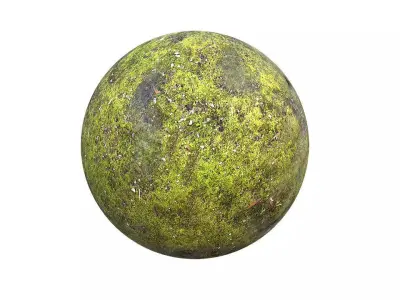 Grassy Ground Texture