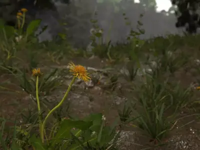 Realistic animated rainy forest 3D model