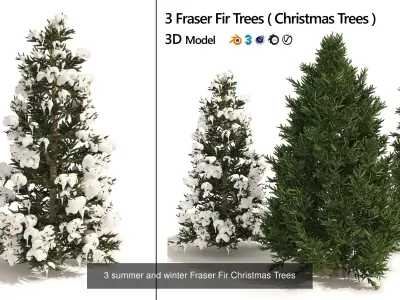 Conifer Species high quality 3D Model Pack