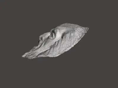 ZARDOZ MASK 3D print model