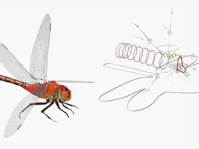  Red Dragonfly Fur Rigged 