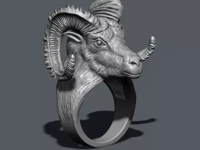 aries ring 3D print model