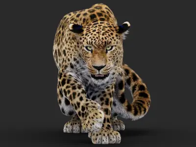  Rigged Leopard 3D Model 