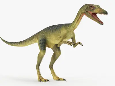  Carnivorous Dinosaurs Rigged for Cinema 4D Collection 2 