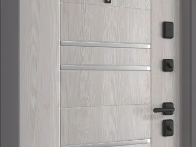 Delta Pro PP entrance door 3D model
