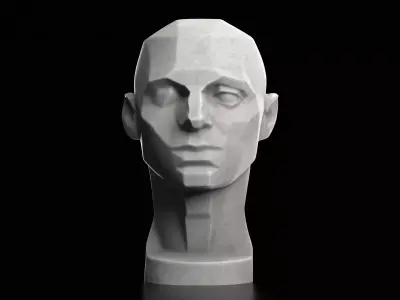 Planes of the Head - John Asaro - 1976  3D print model