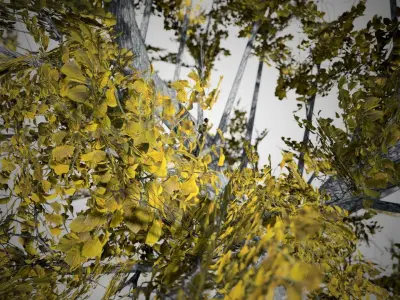 European Linden Fall Tree Low-poly 3D model