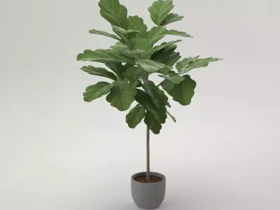 Pro - little Oak in Pot 3D model