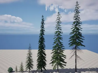 AB3D Plants - Volume 9 Firs for UE5 3D model