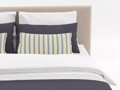 Basis 25  Change 3D model