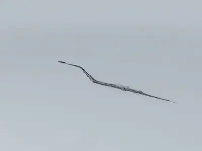 Hamilton GO Centre  Free 3D model