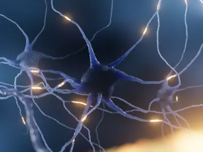 Neuron cell  3D model