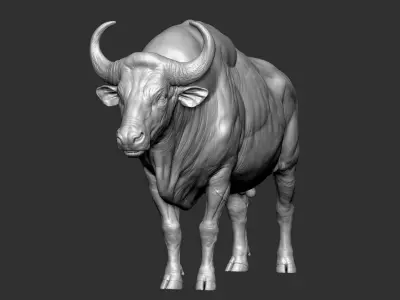  Gaur Bos gaurus VFX most Zbrush Sculpture Digitale 