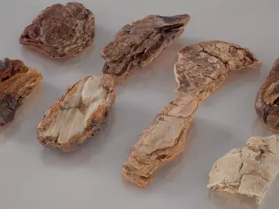 8 3D Scanned Tiny Wood Bark 3D Model Pack