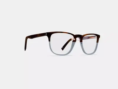 Vaughan Eyeglasses in Eastern Bluebird Fade 3D model