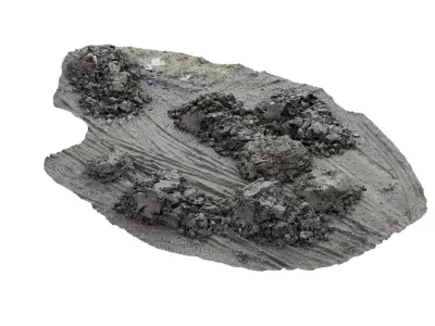 Dirt Construction Site Scan 3D model