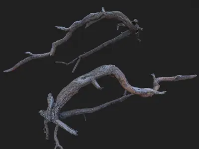 Dead tree 3d scan - SNA0003 3D model