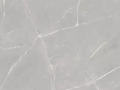 Light Grey Marble with White Veins Texture