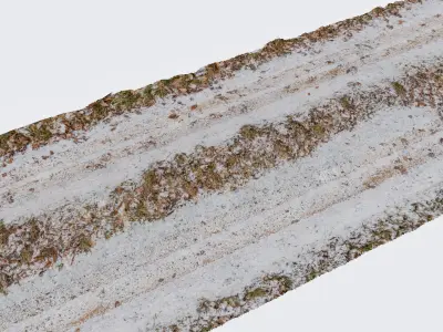 real winter countryroad Low-poly 3D model