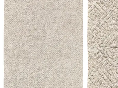 TALSARI HAND-KNOTTED SILK WOOL RUG 3D model